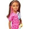 Barbie Skipper Doll And Dog Walker Set With Puppy And Accessories First Jobs -Toy Doll World GUEST 23067206 ca95 4fd7 b53b 9422ba1c6643